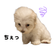 858796891