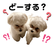 858796900