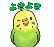 858800528