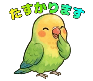 858800556