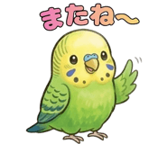 858800558