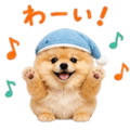 858801494