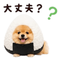 858801498