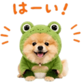 858801502