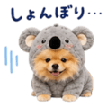 858801506