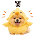 858801508