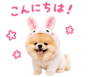858801511