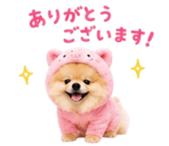 858801512