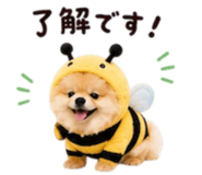 858801513