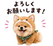 858801514