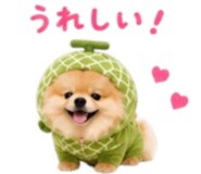858801517
