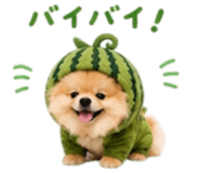 858801521