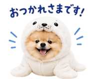 858801527