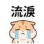 858802754