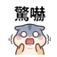 858802784