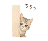 858803247