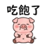 858803307
