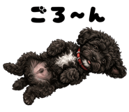 858803704