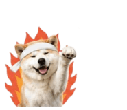 858804069