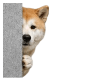 858804070