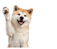 858804074