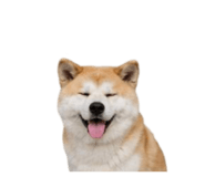 858804075