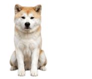 858804076