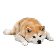 858804077
