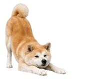 858804079