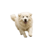 858804194