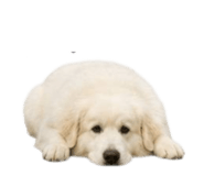 858804195