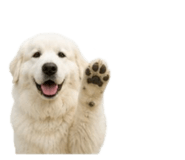 858804198