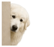 858804203