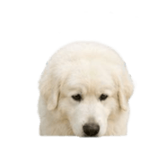 858804204