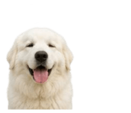 858804207
