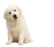 858804208