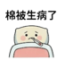858807881
