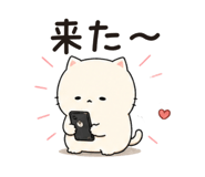 858810246