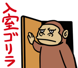 8588146