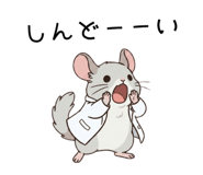 858817785