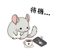 858817795