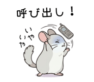 858817796