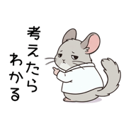 858817800