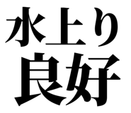 858818891