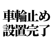 858819494