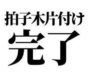 858819496