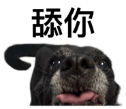 858822313