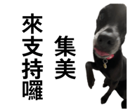 858822314