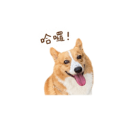 858823769