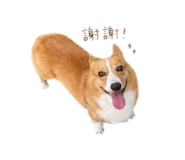 858823770
